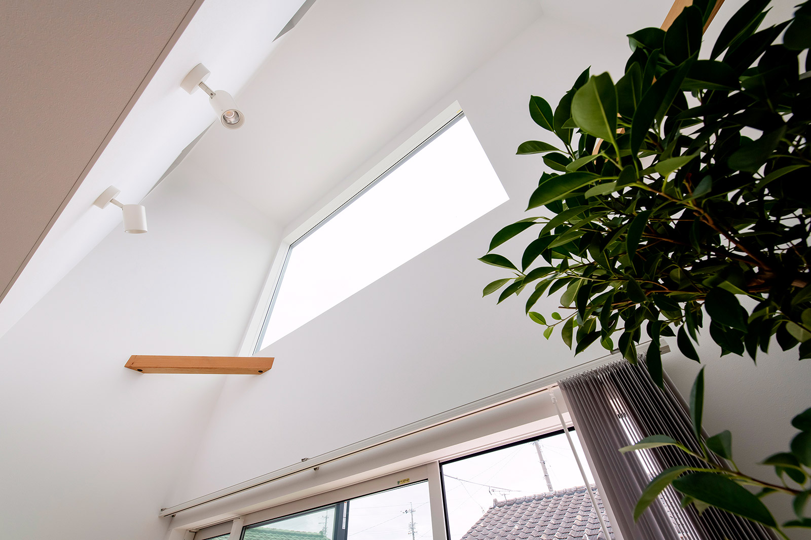 星・空・庭をとりこむ大きなウッドデッキのある家