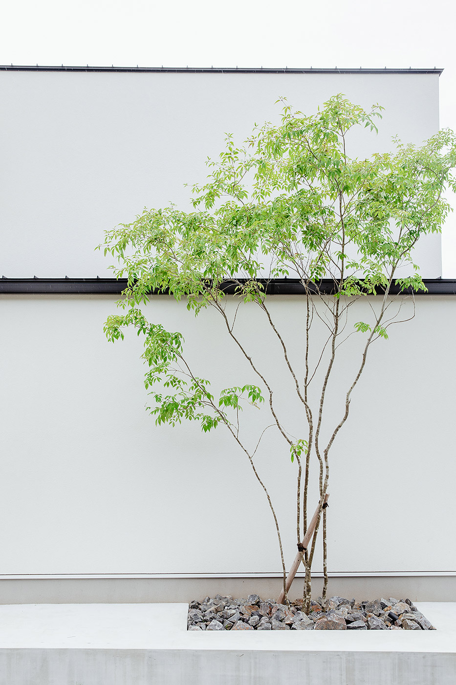 ビルトインガレージの外観がおしゃれな家