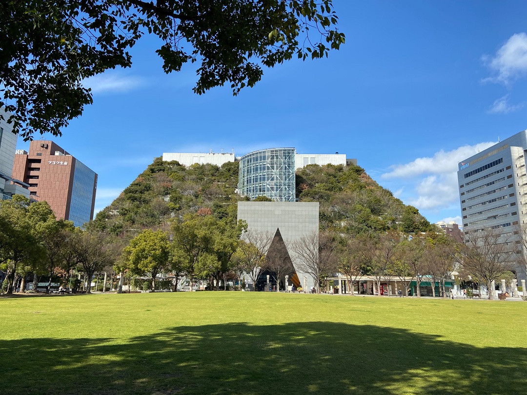 木に覆われた建物