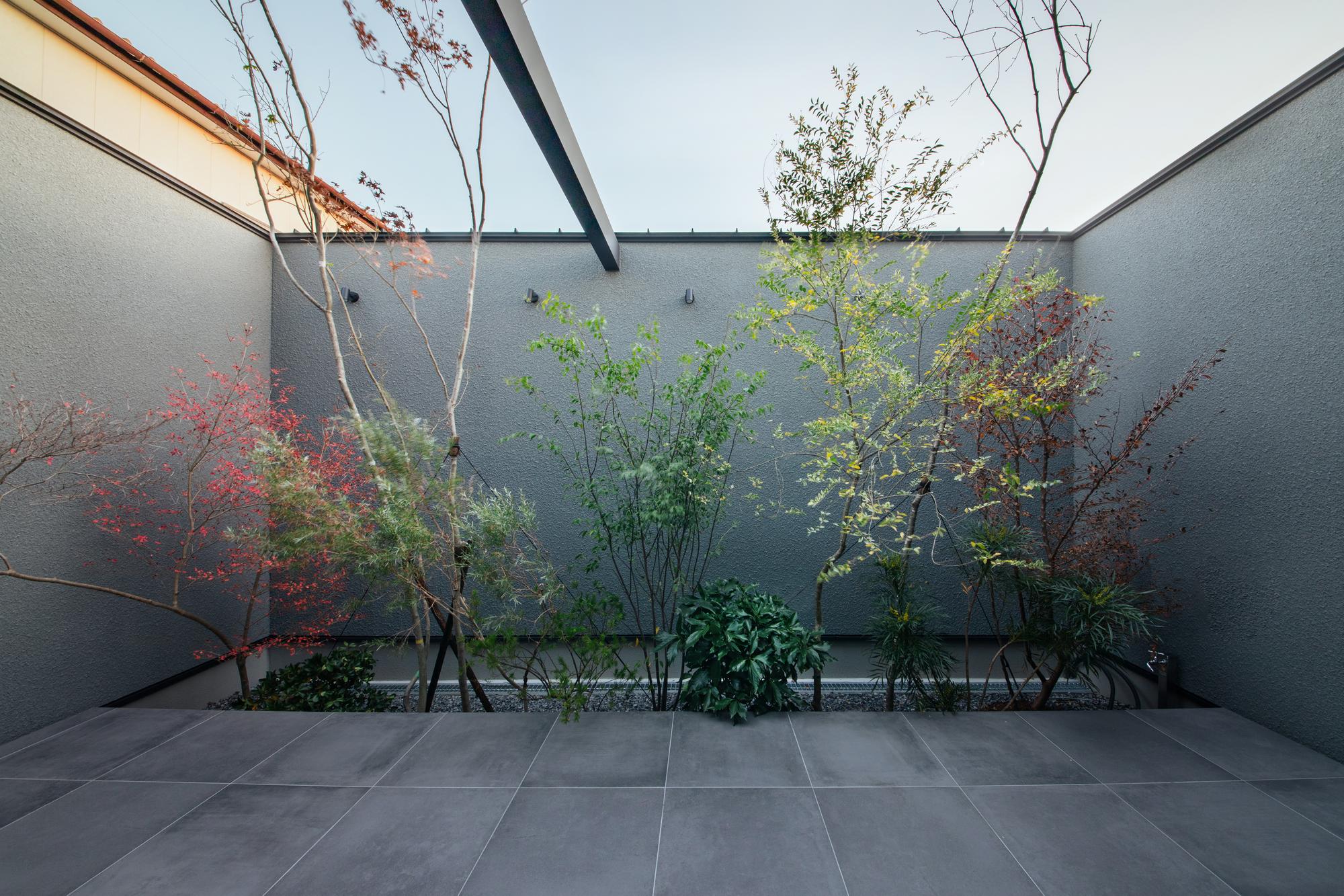 常緑樹と落葉樹を混植し、四季の移ろいを感じられる中庭の植栽