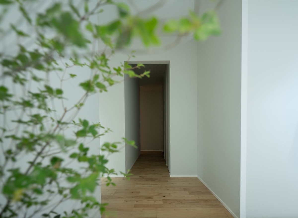 建築家が設計した中庭と室内のつながり