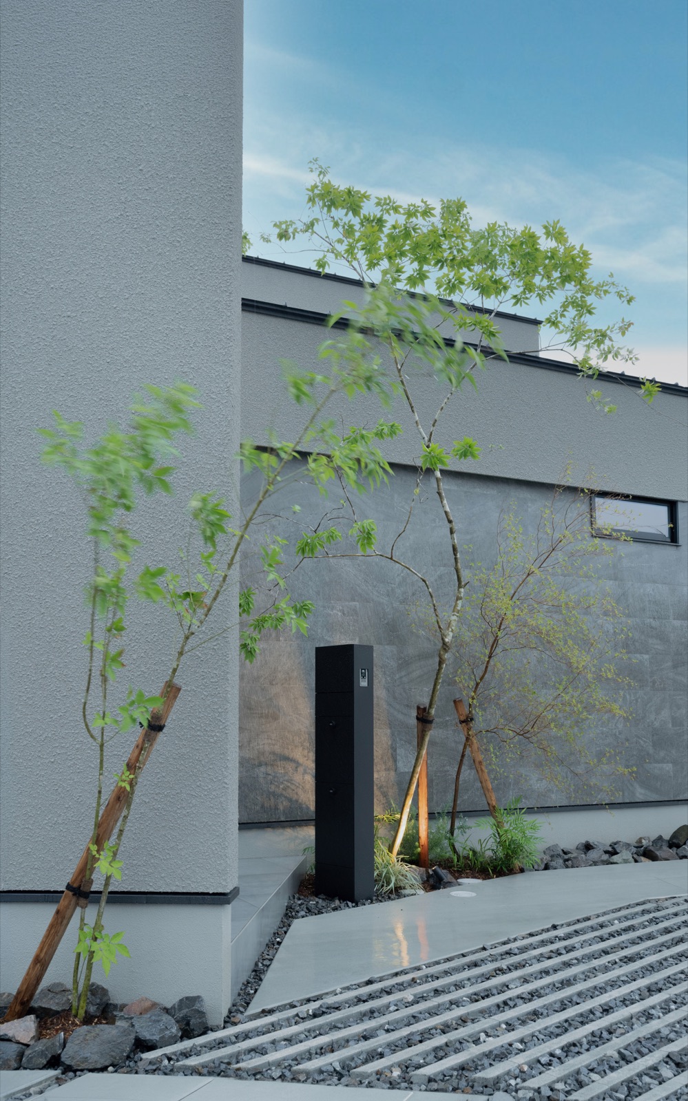 外壁と植栽が重なるアプローチ