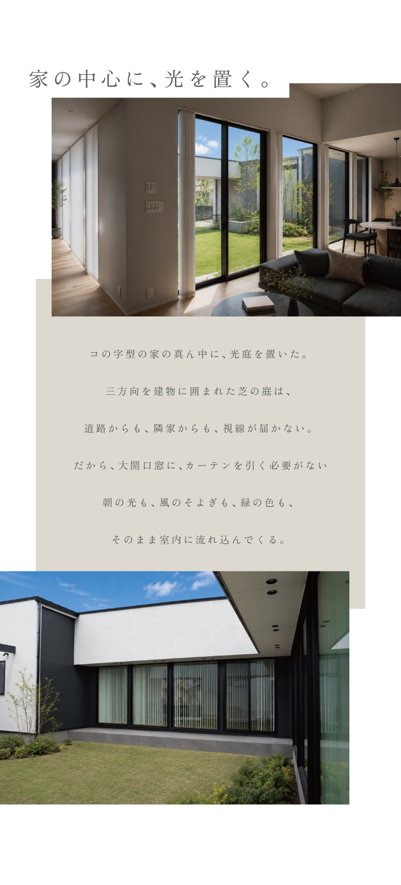 初生見学会 LP 6