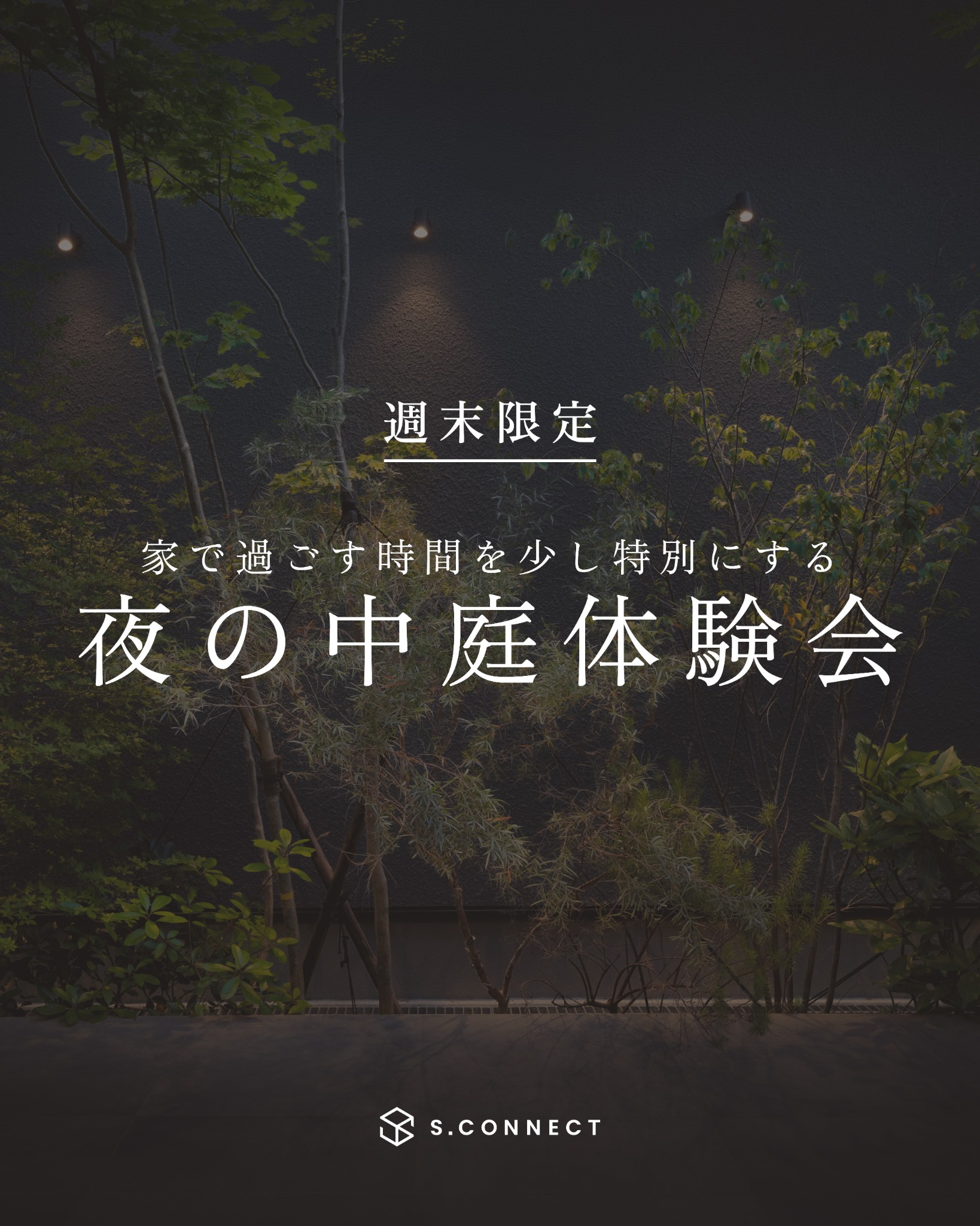 夜の中庭体験会
